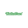 WalknTours review